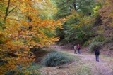 Clicca qui per vedere l'immagine in dettaglio